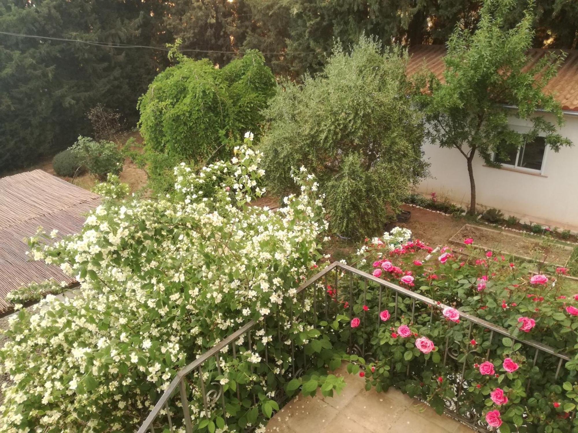Casa Con Jardin Y Aparcamiento En Viznar, Junto A Granada Villa Bagian luar foto